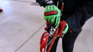 Petzl ID Basics