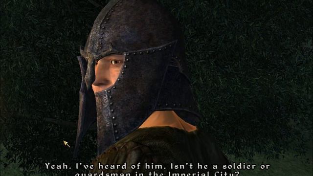 Elder Scrolls IV: Oblivion (An Imperial Legion Soldier not even in the proper uniform!) смотреть онлайн