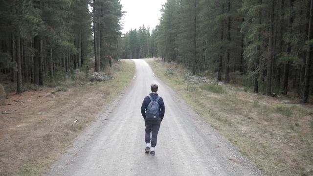 ВОТ Что будет если ходить 10000 шагов в день. ( Это невероятно ) смотреть онлайн