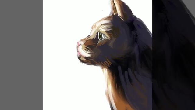 Кот, которого ты сможешь нарисовать! смотреть онлайн