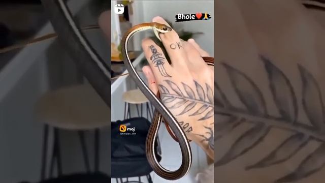 jail bholenath ?? short video смотреть онлайн