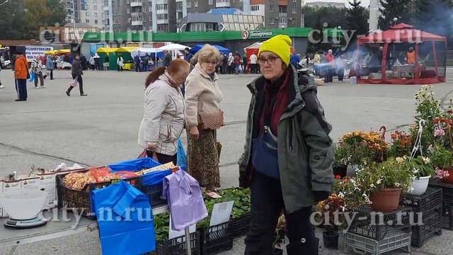 В Новокузнецке организовали ярмарку на площади в честь уважения к старшему поколению смотреть онлайн