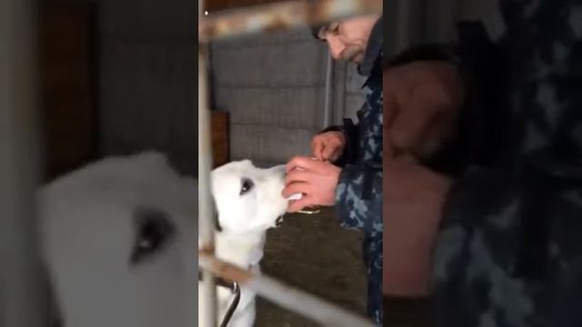 Кормление с ложечки смотреть онлайн