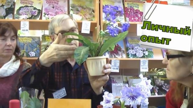 ДФ. Н.Дорофеев.Из личного опыта (стрептокарпусы) смотреть онлайн