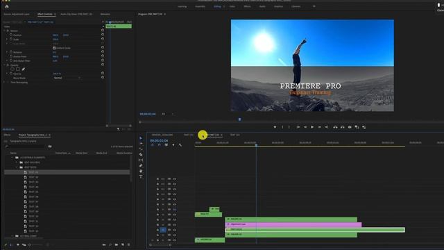How to Edit Envato Elements Video Templates in Premiere Pro 2021 смотреть онлайн
