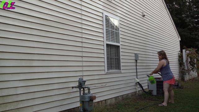 Как моют дома в америке