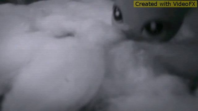 Бьянка кеды смотреть онлайн