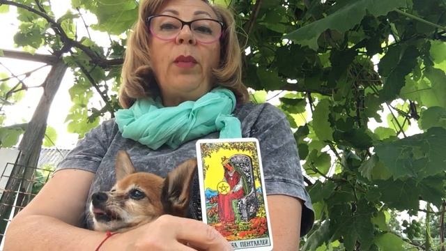 ДЕВЫ. ПРОГНОЗ ТАРО НА НЕДЕЛЮ. Целитель Светлана Юрьевна смотреть онлайн