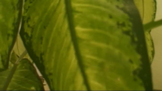 отель.avi смотреть онлайн