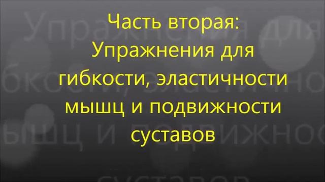 Качаем, укрепляем и растягиваем мышцы спины и позвоночника. Подборка эффективных упражнений смотреть онлайн