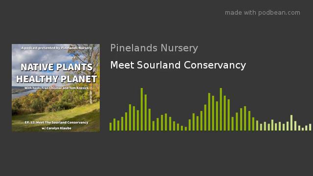 Native Plants, Healthy Planet: Episode 12 - Meet Sourland Conservancy смотреть онлайн