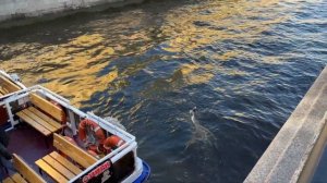 Тестируем катер/Чуть не потеряли катер в центре Питера