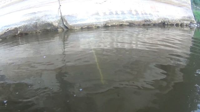 Как я искал золотое обручальное кольцо смотреть онлайн