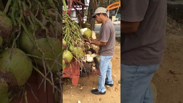 Лавка кокосов на пляже Punta Popy, Доминикана смотреть онлайн