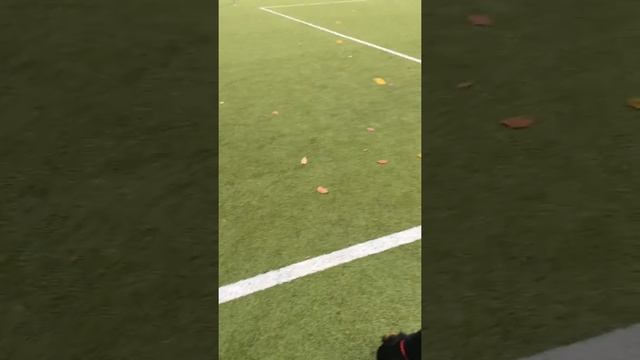 Fetch, again, again, again! смотреть онлайн