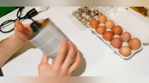 Как сделать овоскоп