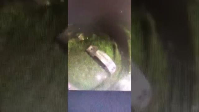 waterproof test ----KOKIN solar road stud NK-RS-T1 смотреть онлайн