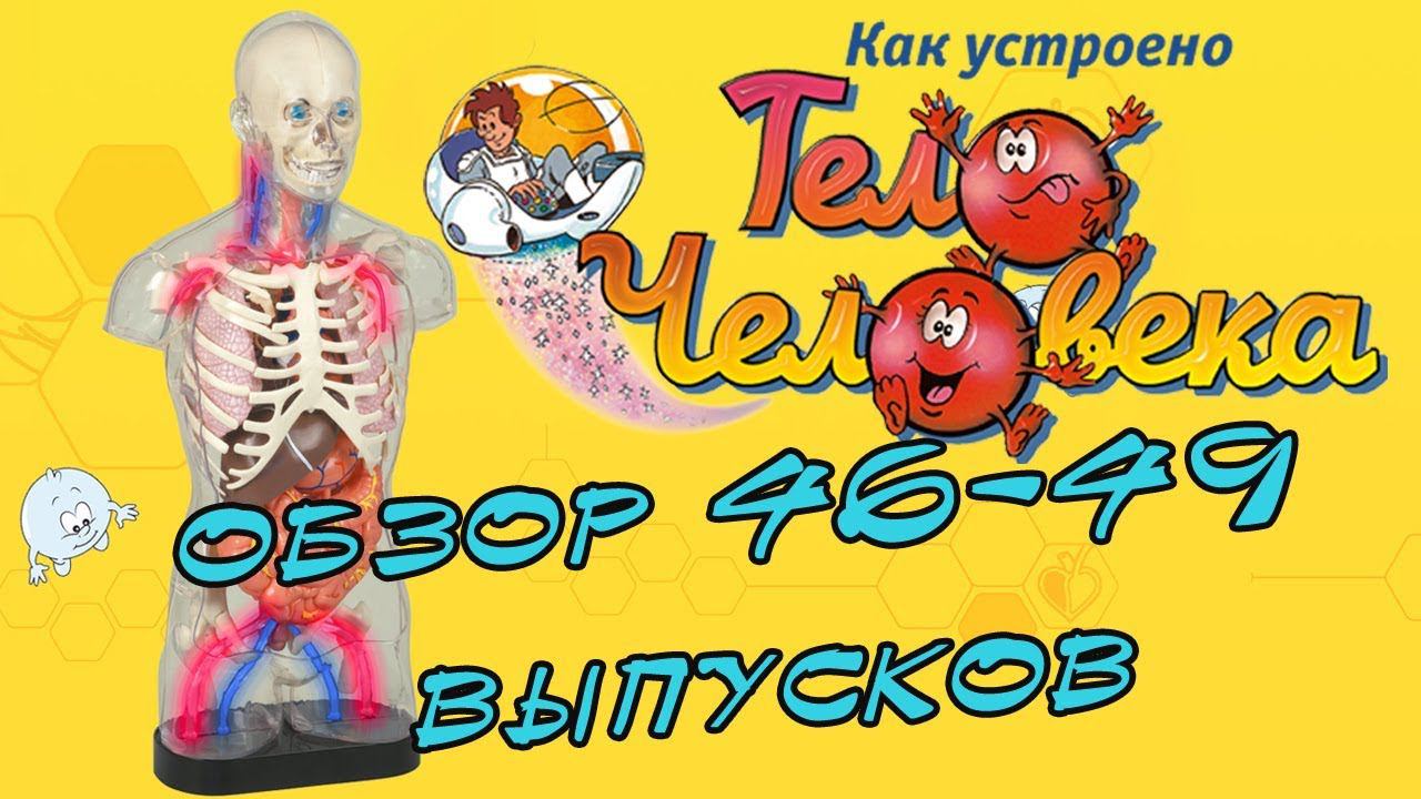 Как устроено тело человека | DeAgostini | 46-49 выпуски смотреть онлайн