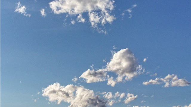 Tai Chi Music for Meditation, Balance and Zen Relaxation 1 Hour Music no-stop смотреть онлайн