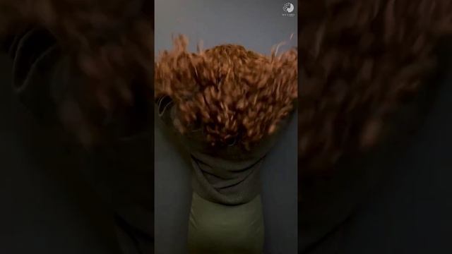 Стрижка, уход и укладка кудрявых волос в салоне ICE CURLY смотреть онлайн