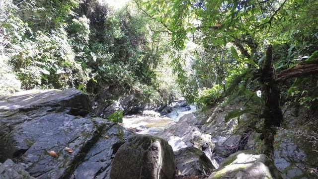 Один из секретов Долгожителей Долины Вилькабамба Эквадор (Vilcabamba) смотреть онлайн