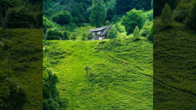 Сонная дремота Белый шум смотреть онлайн