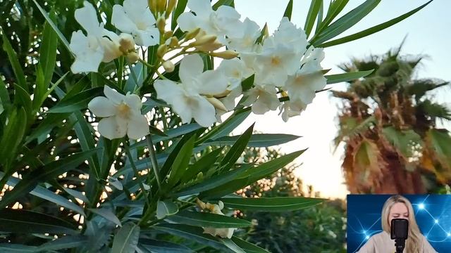 Её пора отправить на помойку, она старуха - любовница смеялась в кабинете мужа, а жена это услышала