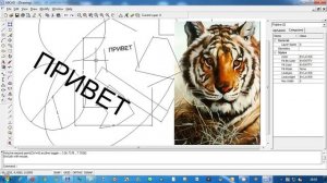 Как создать простой чертёж в бесплатной программе A9CAD