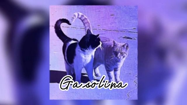Gasolina edit audio slowed down смотреть онлайн