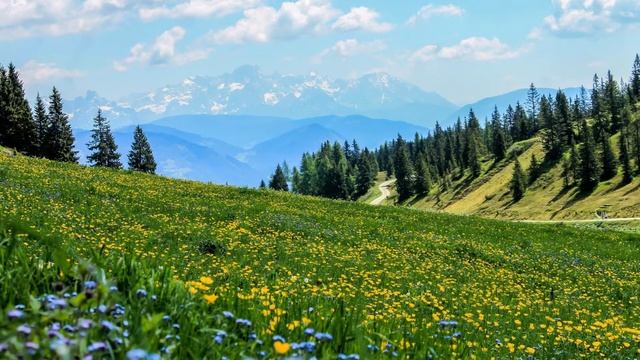 Muzica de relaxare, terapie, invatare, somn, spa (pian, tonuri binaurale), 4h. смотреть онлайн