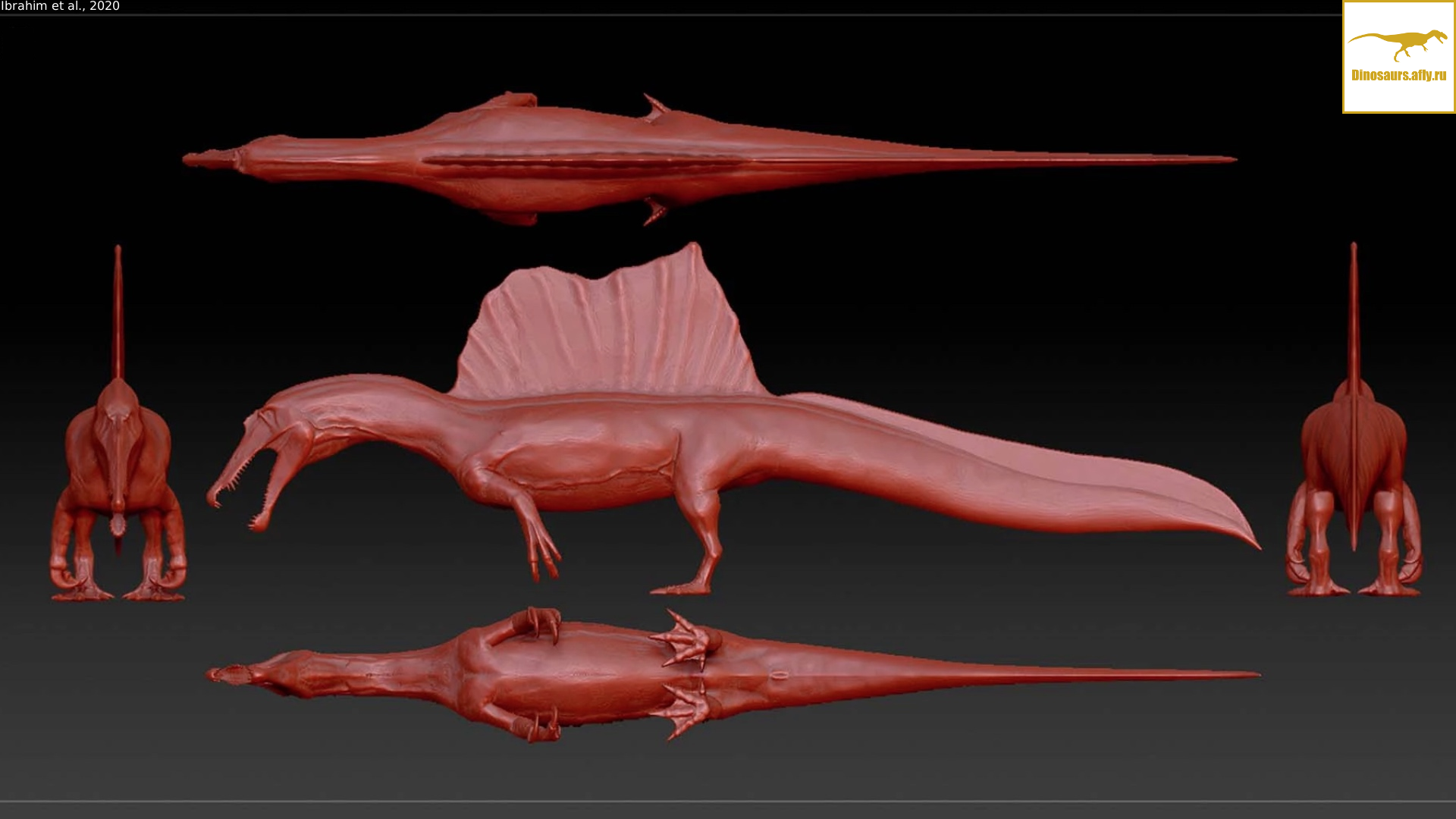 Спинозавр 2020 — Интрига не угасает