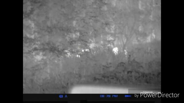 Pulsar Quantum XD19A Thermal Monocular смотреть онлайн