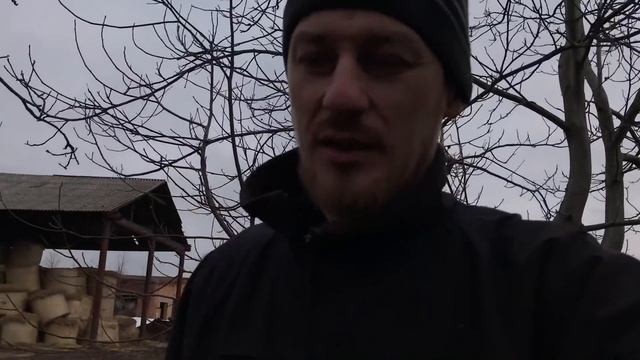 ПАРЕЗ ДО ОТЕЛА: КАК ЛЕЧИЛ КОРОВУ