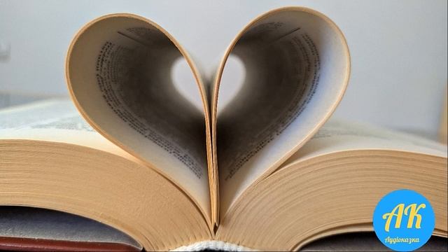 Мисливські усмішки. Як варити і їсти суп з дикої качки. Остап Вишня. Аудіо казка