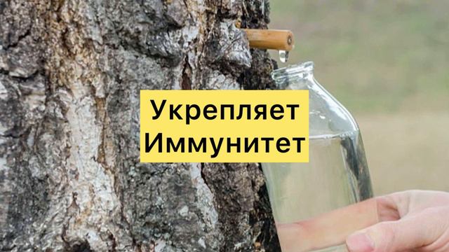 Дурацкие штучки