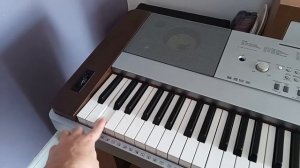 Teclado Yamaha Portable Grand Dgx 640