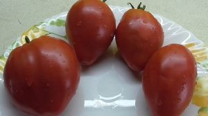 ТОМАТ "МЯСИСТЫЙ САХАРИСТЫЙ". №59. ДЕГУСТАЦИЯ. Ольга Чернова.