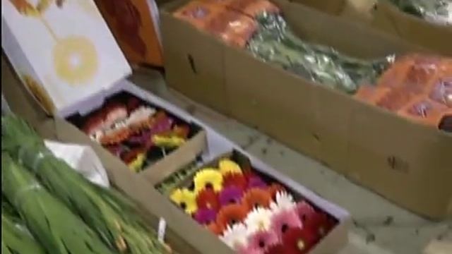 В Красноярск к 8 марта завезли 40 тонн цветов смотреть онлайн
