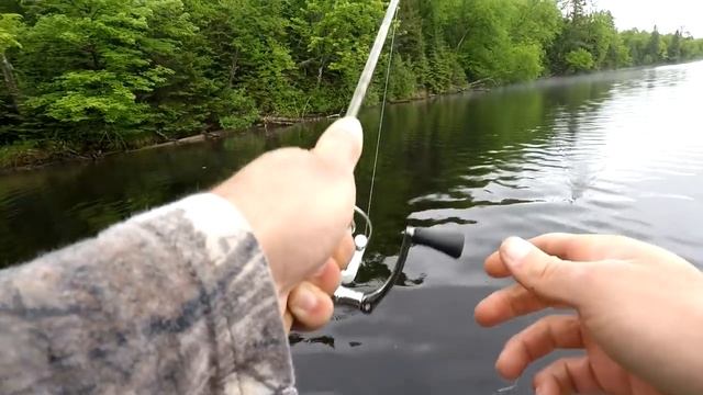 Bluegill Fishing Tips - How To Locate And Catch Big Bluegill (In 2019) смотреть онлайн
