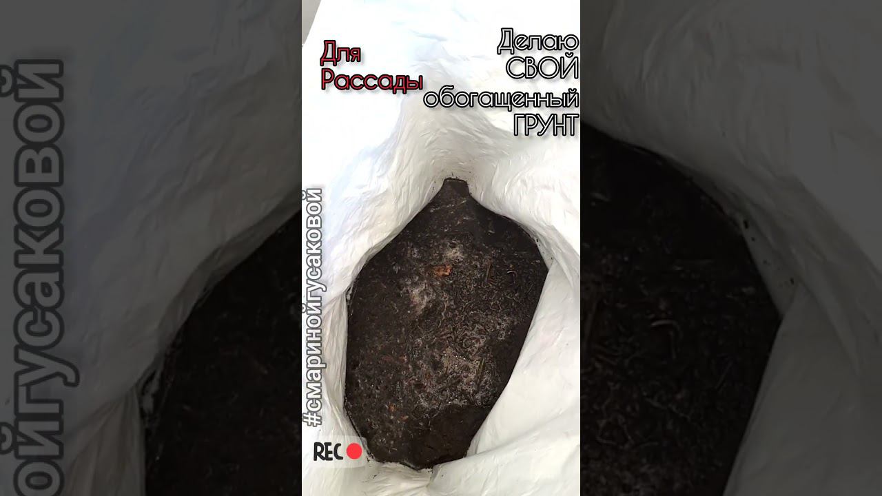 ГРУНТ ДЛЯ РАССАДЫ готовим осенью! Всего 2 ложки для Оздоровления почвы! @смаринойгусаковой смотреть онлайн