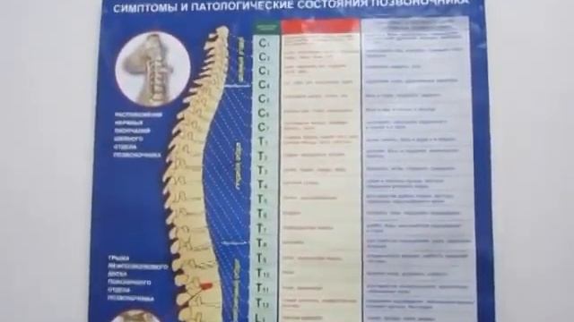 Здоровье позвоночника в ваших руках- плакат. смотреть онлайн
