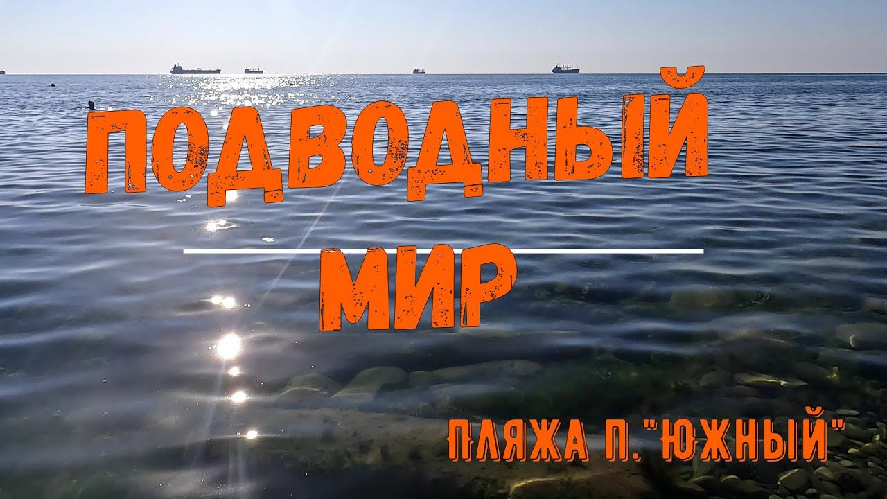 Подводный мир пляжа п. Южный. Туапсинский район смотреть онлайн