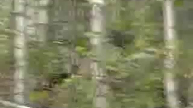 Sonni ja vasaporukka смотреть онлайн