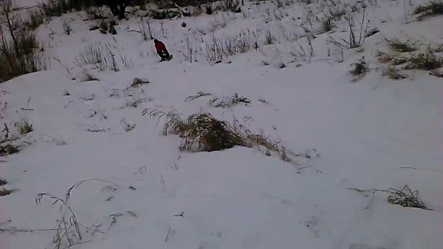 Выходные прошли на ура! смотреть онлайн