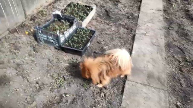 ВЛОГ Дни жизни. Получили СПРАВКУ. Чистота-залог здоровья! смотреть онлайн