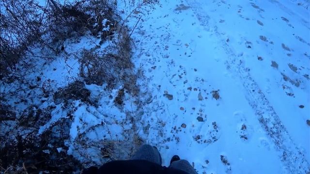 На волоске от беды в заснеженной Корее / KOREA VLOG