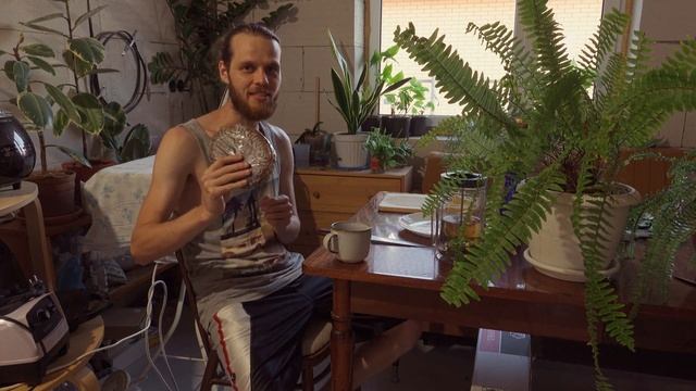 Остался дома один. Дегустирую сладкое. Стригу газон. Первый урожай. Болтаю :) смотреть онлайн