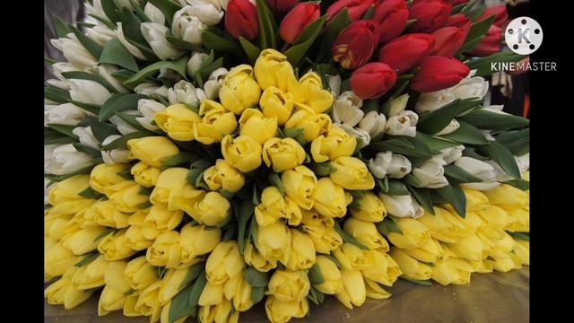 День открытых дверей. Успей записаться! смотреть онлайн