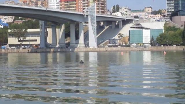 Вода в Дону позеленела. На пляже ищут золото. смотреть онлайн