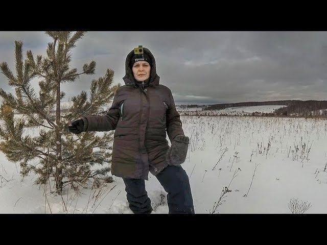 Лучше поздно, чем никогда! ПОСЫЛКА из ГЕРМАНИИ. Цены растут. Ролик пролежал ПОЛГОДА! смотреть онлайн